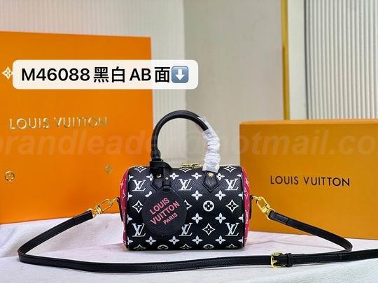 LV Handbags 123